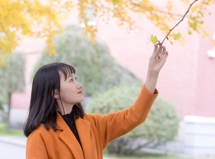 菲律宾大使馆在中国是怎么分布的 华商为您扫盲